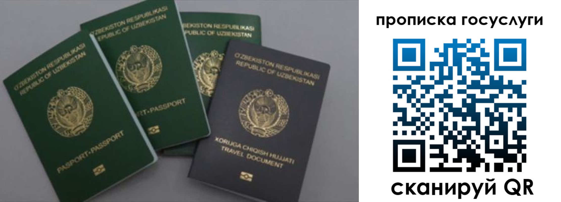 прописка гарантия в Сарапуле